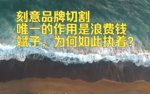 解析蔚来子品牌阿尔卑斯，罕见观点：可能成为压倒骆驼最后一根稻草，真心建议品牌合并量产加速