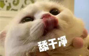 这猫怎么看起来香香糯糯的