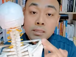 肩胛骨结构定位 肌肉骨骼解剖
