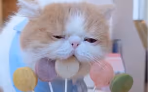 看你吃零食真的好着急