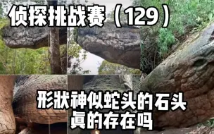 侦探挑战赛（129），形状神似蛇头的石头，真的存在吗？