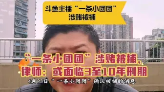 一条小团团涉赌被捕