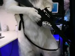 你要拍《犬球崛起》吗？？