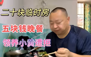 河北老铁已经可以独立，替他开心，想领养小黄被拒绝，做五块钱晚餐吃