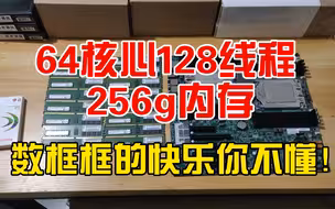 64核心128线程！数框框的快乐你不懂！