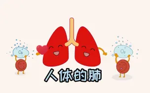 【生物学4】#人体科普 #人体的肺 重要的呼吸器官