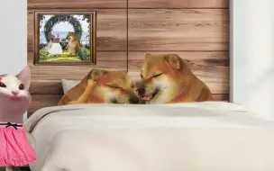 周末孩子睡懒觉该怎么办