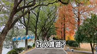女婿做的再好也不如儿子，车友贾六夫妻离开岳父，房车自驾游去了