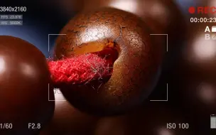 菩提根盘玩效果