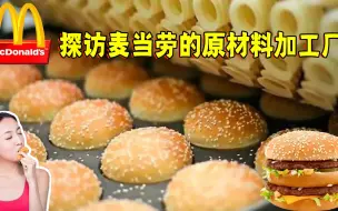 麦当劳的汉堡原来都是这样生产？探访食品加工厂，后厨简单加工