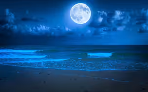 y834  一样的月光 歌曲配乐 唯美大海海平面夜空大圆月亮云朵天空云海流动星星粒子闪耀唯美意境皎洁月色十五中秋佳节歌曲演唱古典中国风舞台晚会LED大屏背景视频