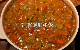 汤汁浓郁的咖喱肥牛饭 配上米饭拌一拌简直不要太好吃！！