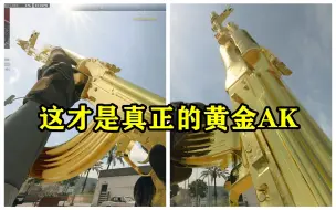COD19的金皮比COD16的帅多了！！