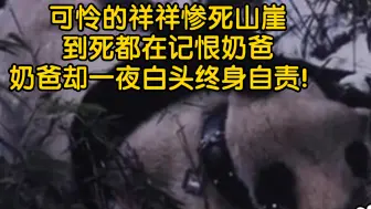 可怜的祥祥惨死山崖，到死都在记恨奶爸。奶爸却一夜白头终身自责！