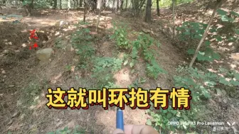这地再不用、更待何地！