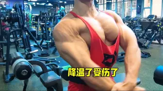 降温了受伤了开始储存脂肪过冬吧#胸肌#