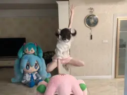 天下武功！