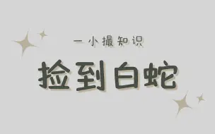 男子江边散步捡到“白素贞”