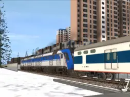 道口纪实