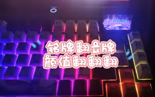 魔咖ae75铭牌立牌改造计划，属于自己的diy键盘【键盘】