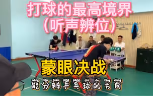 打乒乓球的最高境界是这样吗？