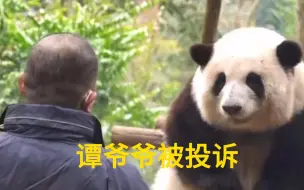 谭爷爷被投诉，花花的体育课也被取消了，谁之过？