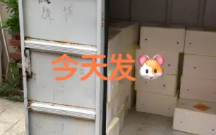 发鼠了家人们