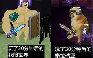[MC/泰拉]     区    别   对   待！