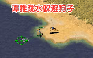 红警：狗子咬谭雅，谭雅跳水会怎么？