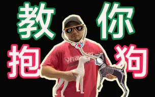 硬核知识 拒绝错误方式抱狗 手把手教你正确抱狗 错误抱狗方式会受伤