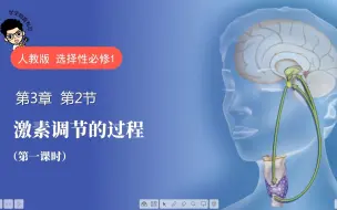 3.2激素调节的过程 第1节课