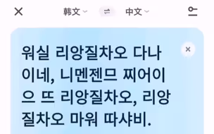 梁志超他奶奶 韩语版