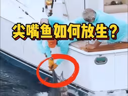 尖嘴鱼如何放生？？