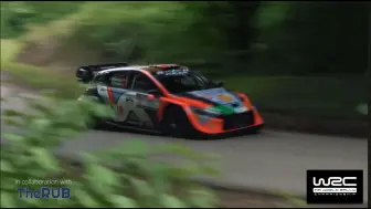 一个视频种草拉力 WRC2024精彩集锦