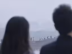 被爱重要 还是爱别人重要