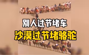 敦煌景区上千骆驼排队上山，场景恢宏似张骞出使西域。