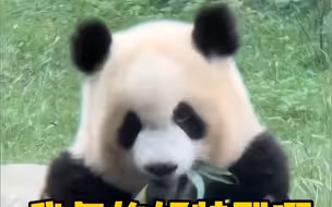 渝爱：我真的好喜欢我寄几啊！我性格也不戳！长得也还阔以！
