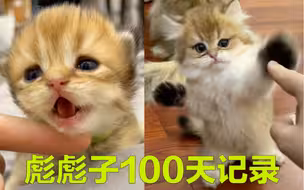 难道真的是名字起错了？？？