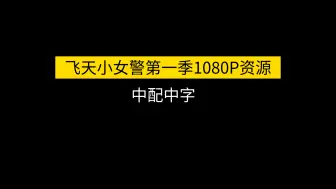【动漫分享】重置版飞天小女警第一季40集中配中字
