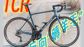 捷安特碳架+迈金QED电变！3000元级电子变速系统改装