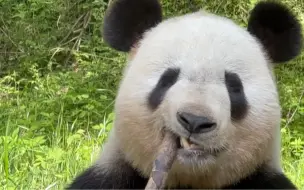 眼睛闭着很享受的样子