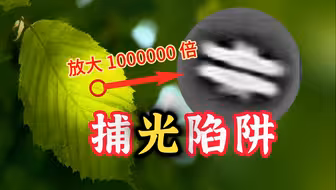 [细胞秘事29] 如何用能量陷阱捕获光？——光合作用（1）