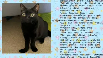 非常蠢的蠢小猫歌单3