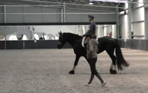 舞步大师101：提升坐姿是终身的训练课程 IMPROVING YOUR RIDING SEAT (LESSON) - Dressage Mastery TV E