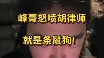 峰哥怒喷胡律师！就是条鬣狗，大人说话小孩少插嘴！！！