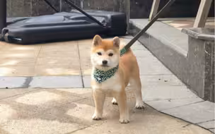 从一个小猴子长成小美女啦！！