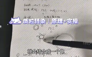 质粒转染｜293T细胞｜原理｜实操