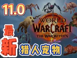 【超级牛】《魔兽世界》11.0有哪些新宠物？？？有大蛆！！！