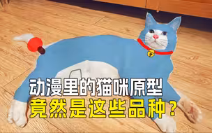 🐱动漫猫咪大揭秘：它们都是什么品种⁉️