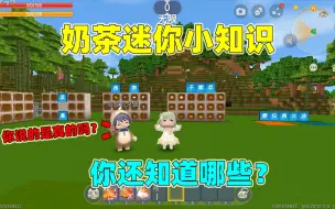 迷你世界：教萌新玩迷你？你知道哪些迷你小知识，快告诉汉堡吧！